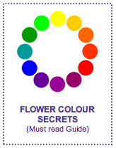 Flower Colour Secrets