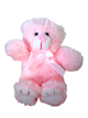 Small Teddy Bear in Pink